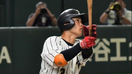 img_49dd4f86469caa8c44eb73e249ed8e3726937